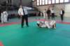cairo201326_small.jpg