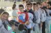 cairo201330_small.jpg