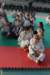 cairo201332_small.jpg