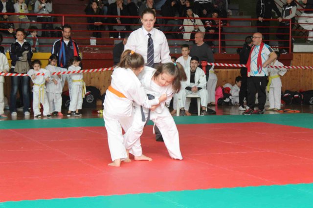 piccole248.jpg