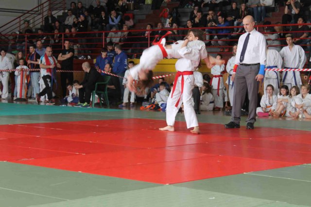 piccole306.jpg