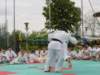 porteaperte2004santena21_small.jpg