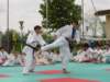 porteaperte2004santena22_small.jpg