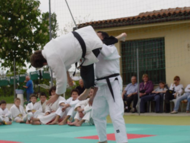 porteaperte2004santena35.jpg