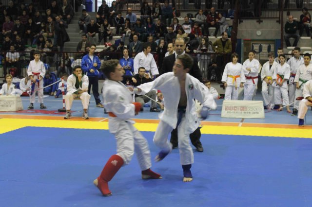 santena201300111.jpg