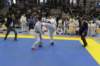 santena201300184_small.jpg