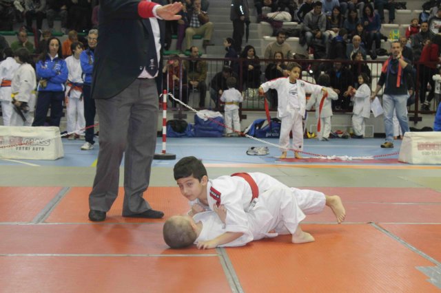 santena201300197.jpg