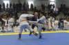 santena201300213_small.jpg