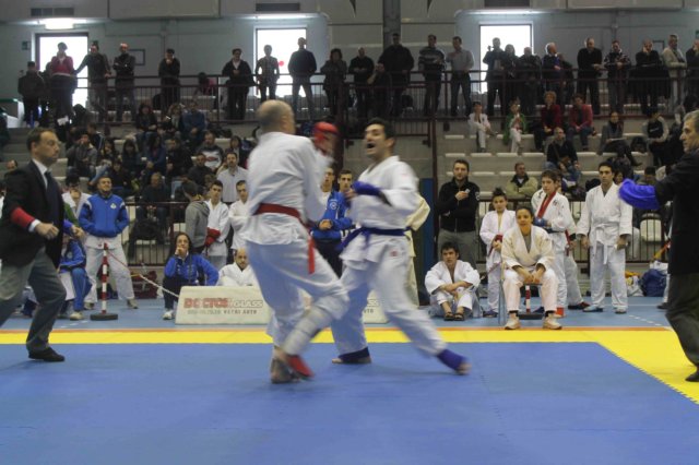 santena201300240.jpg