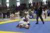santena201300242_small.jpg