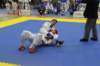 santena201300243_small.jpg