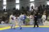 santena201300291_small.jpg