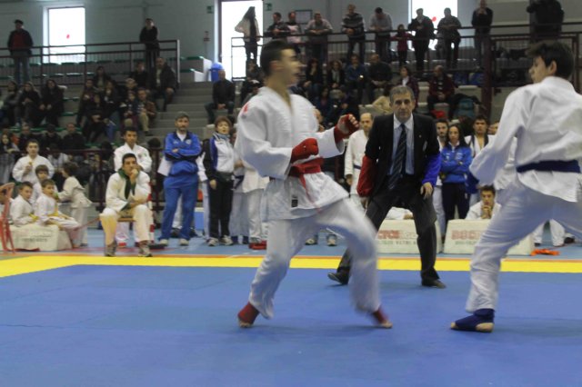 santena201300310.jpg