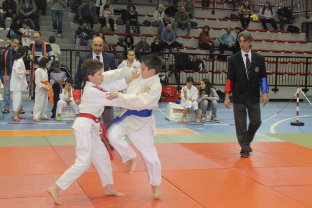 santena201300350.jpg