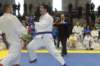 santena201300396_small.jpg