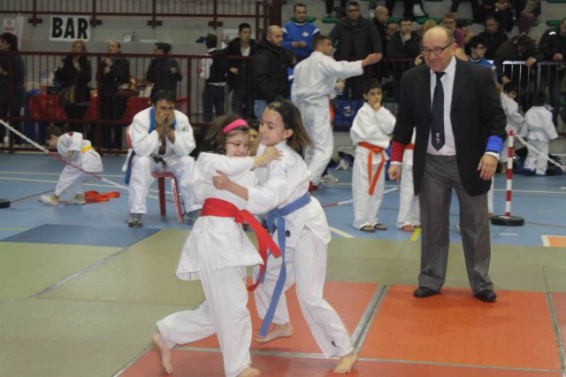 santena201300398.jpg