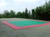 peveragno24giugno003_small.jpg