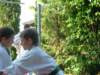 peveragno24giugno079_small.jpg
