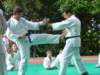 peveragno24giugno082_small.jpg