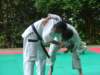 peveragno24giugno113_small.jpg