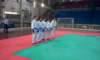 novara201111_small.jpg