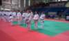 novara20116_small.jpg