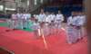 novara20119_small.jpg
