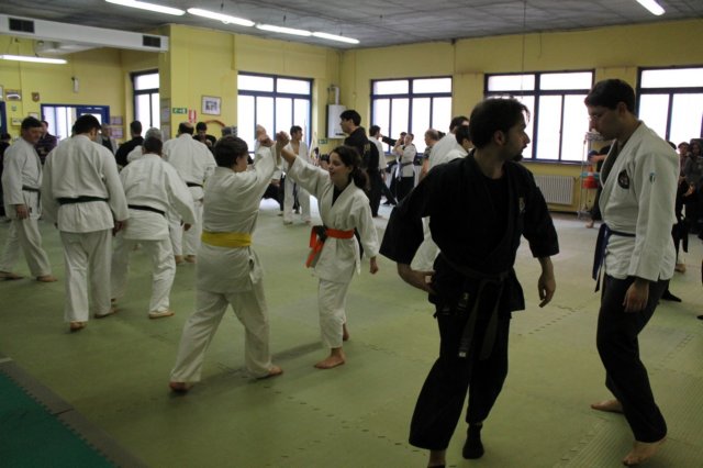 aiek2013215.jpg