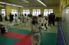 aiek201359_small.jpg