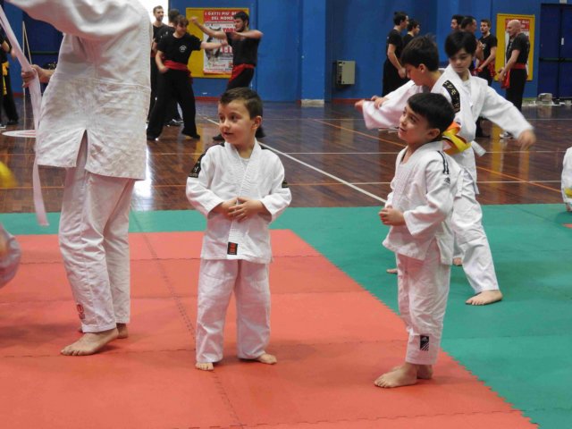 photo15.jpg