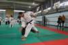 verbania2012258_small.jpg